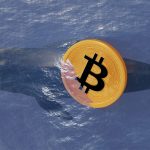 Bitcoin balinasın long pozisyonunu genişletti: Kazancı 5 milyon doları aştı