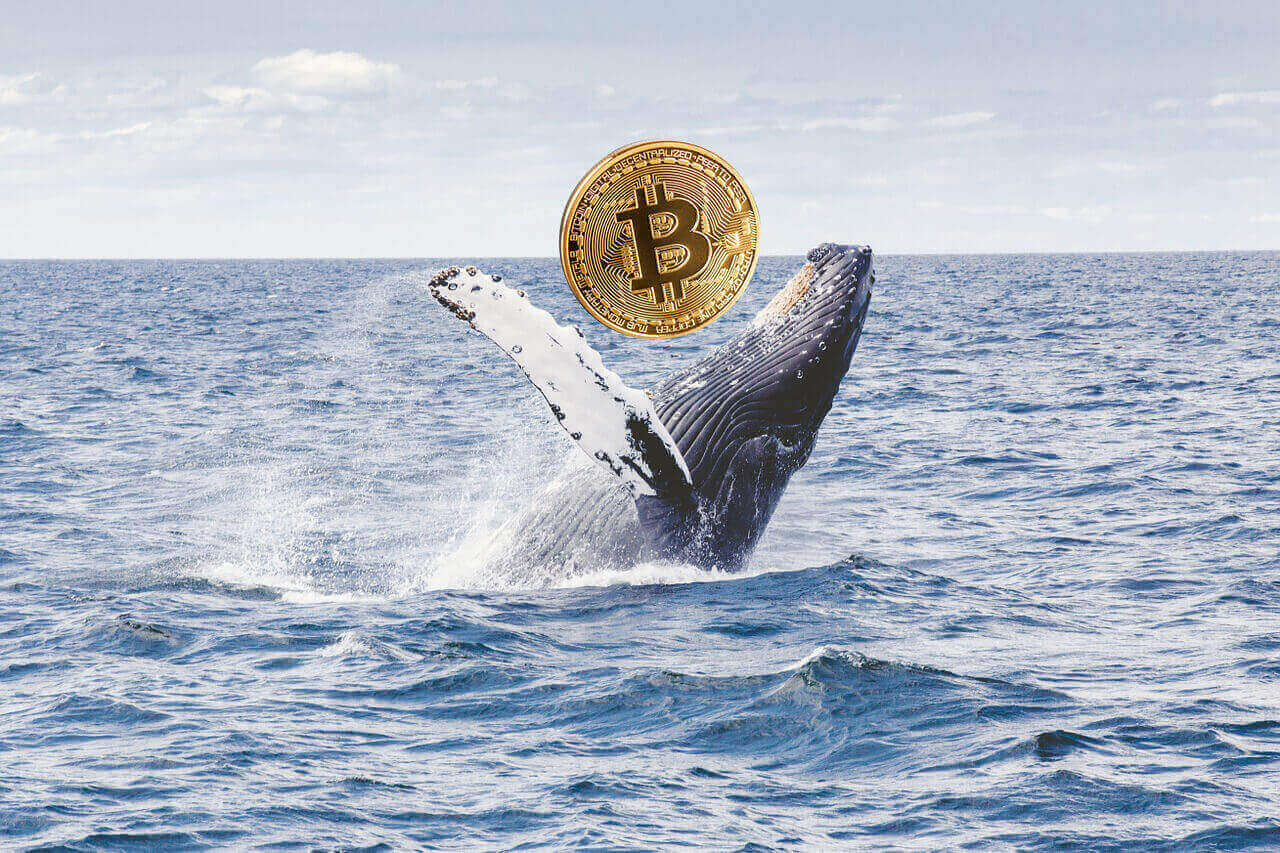Bitcoin'de son perde başlıyor: tarihin en büyük servet transferi kapıda 2 Bitcoin