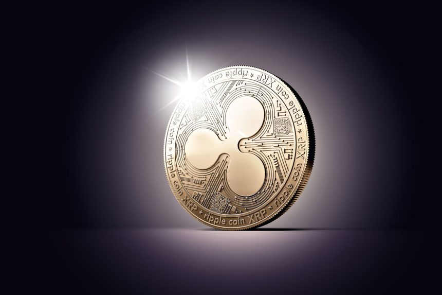 Ripple ve XRP arasındaki fark nedir?