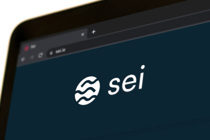 Sessiz dev yeni keşfediliyor: SEI üç ayda 3 kat büyüdü