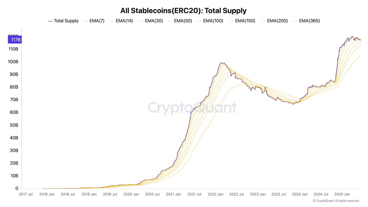 Toplam Stablecoin Arzı