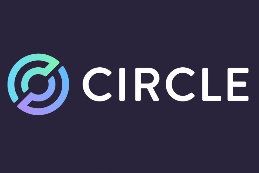stablecoin usdcnin ardindaki sirketin hisseleri 6x yapti yatirimcisi costu