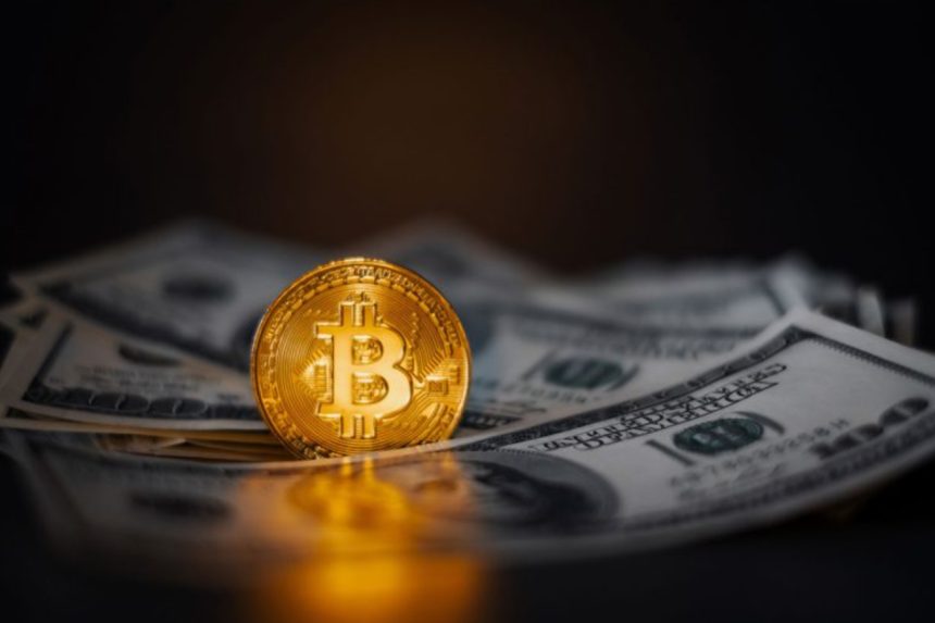 unlu yatirimci 124 milyon dolar kaybetti bitcoine short acti