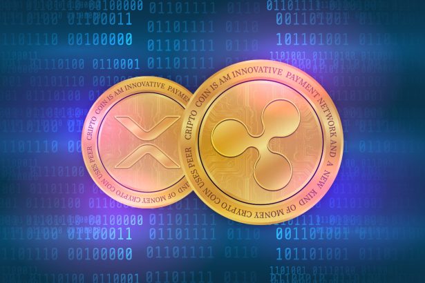 XRP nasıl gönderilir?