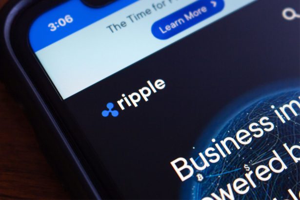 XRP’yi destekleyen cüzdan türleri