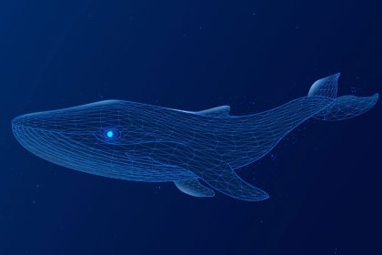 14 yillik bitcoin balinasi satis operasyonu