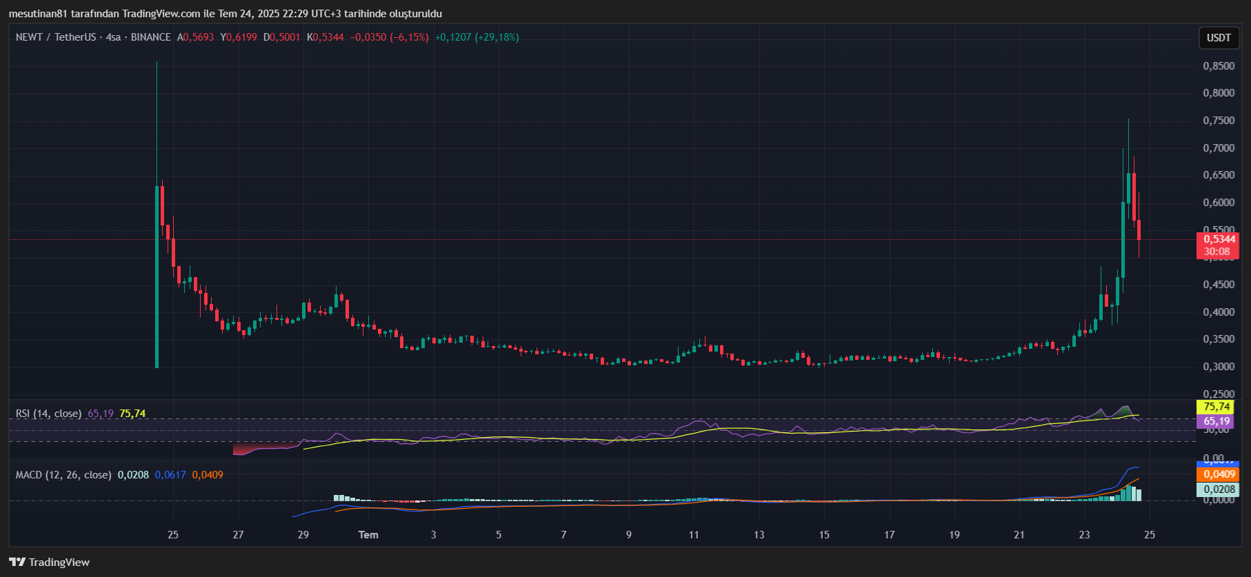 Popüler altcoin’de çarpıcı trend değişimi: düzeltme sonrası yükseliş kapıda mı? 2 NEWT fiyat grafiği