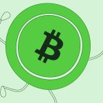 Bitcoin Cash fiyatı hızlı yükseldi: BCH coin’de artışın 2 nedeni