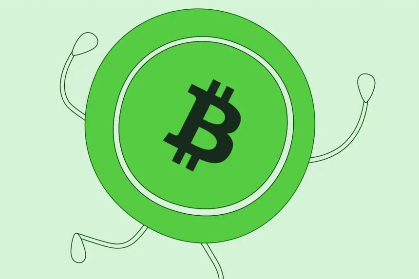 Bitcoin Cash fiyatı hızlı yükseldi: BCH coin’de artışın 2 nedeni