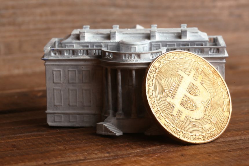 Hindistan’ın bilişim devi de Bitcoin dedi: hisseler fırladı