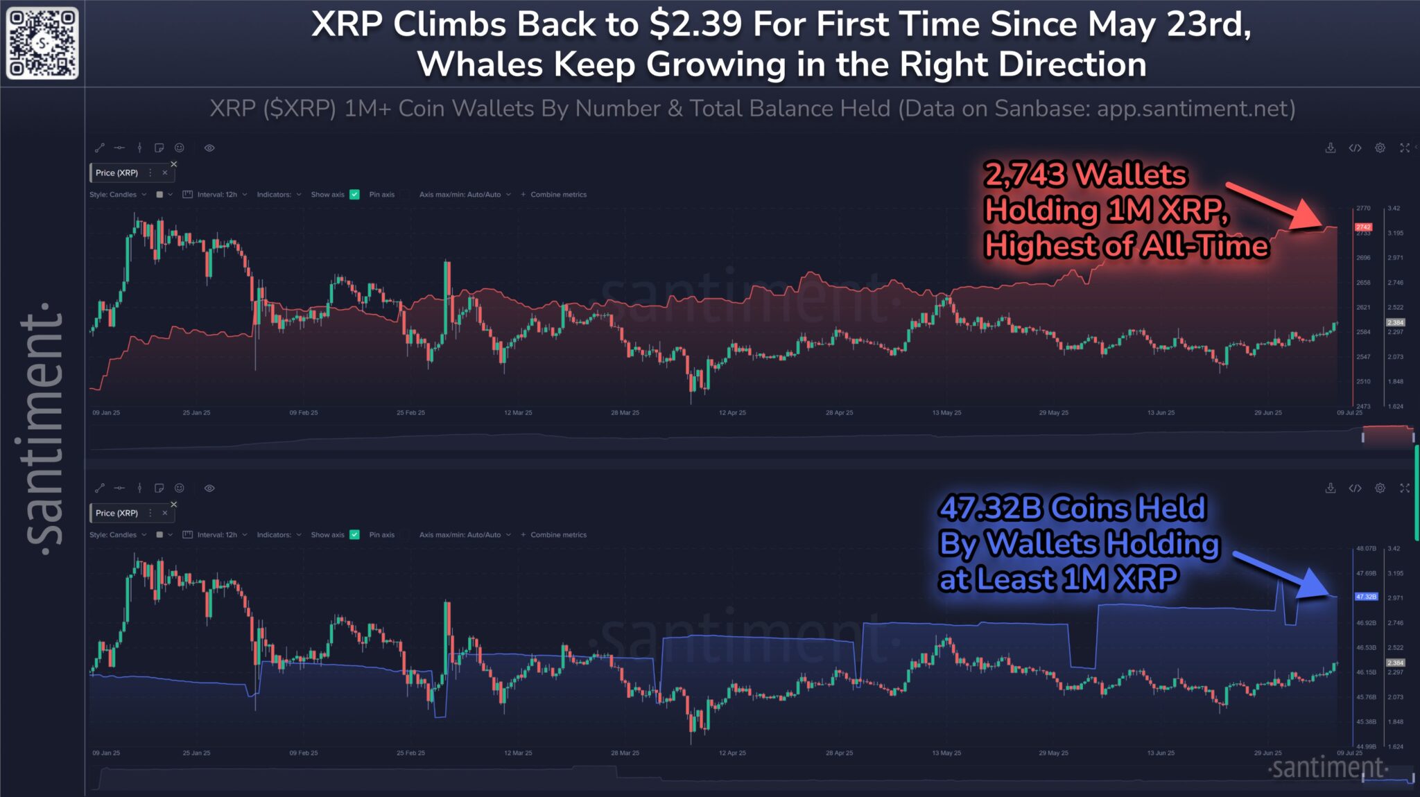 xrp 3