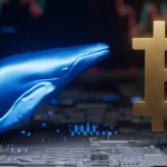 Bitcoin Balinalarında Hareket: Bitcoin Hyper'ı Takibe Aldılar