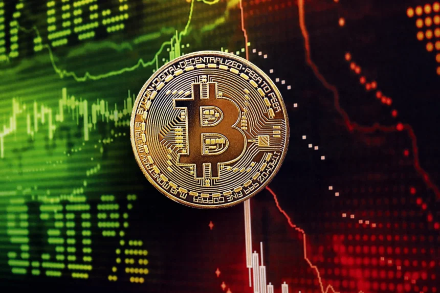 Bitcoin Magazine CEO’su: ayı piyasası artık tarih olacak