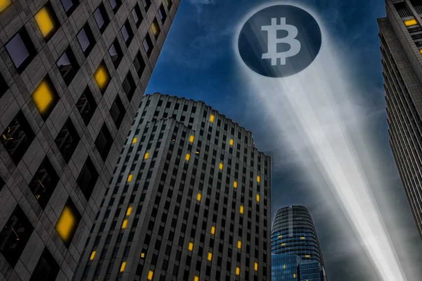 metaplanet bitcoin btc hamlesi