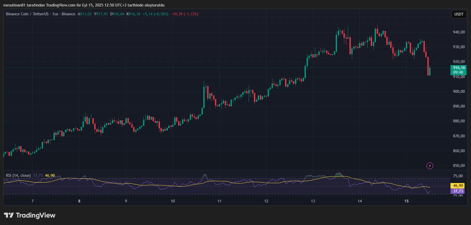 Binance Coin (BNB) yükselişini koruyamadı: hedefte 2 seviye var 2 BNB Fiyat Grafiği