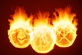 populer altcoinde buyuk yakim tamamlandi iste detaylar