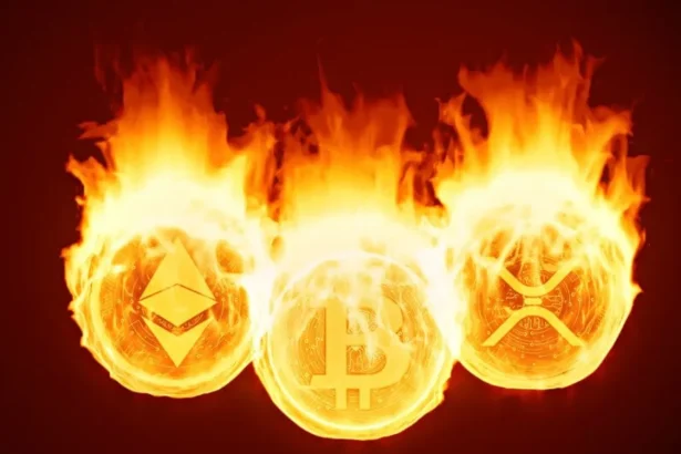 populer altcoinde buyuk yakim tamamlandi iste detaylar