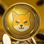 shiba inu shib vurgun savas odasi fiyat analizi