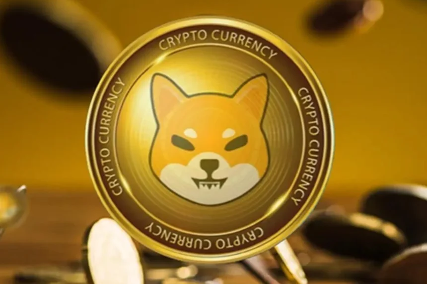 shiba inu shib vurgun savas odasi fiyat analizi