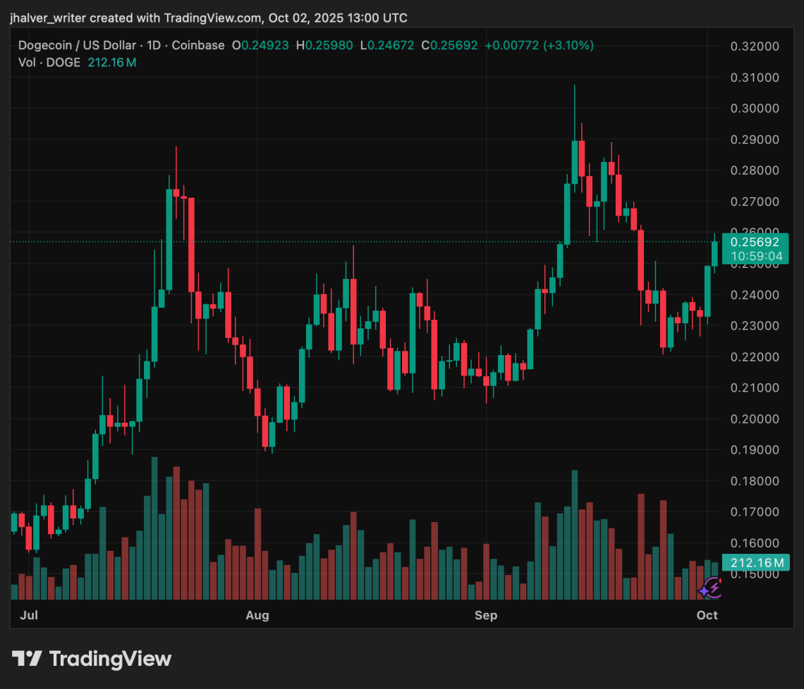 Dogecoin 1 dolar olur mu? Analistlerden dogecoin yorumu: İyimserlik tazelendi 2 Dogecoin fiyat grafiği
