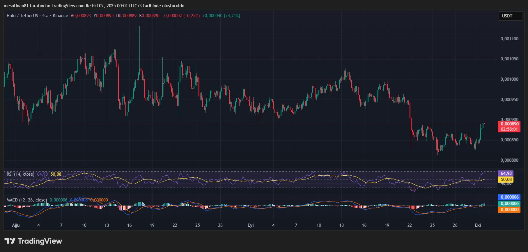 HOLO fiyat grafiği Kaynak: TradingView