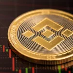 Binance Coin Fiyatı Rekor Tazeledi: BNB kaç dolar oldu?