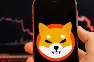 Shiba Inu Yakım Oranı Yüzde 3.607 Arttı, 24 Milyon SHIB Dolaşımdan Kaldırıldı