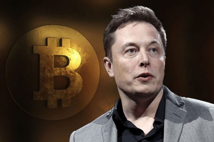 elon-muskbtc