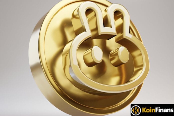 pancakeswap-nedir-cake-token-ve-platformun-kullanimi