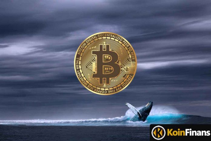 balinalar-dipten-bitcoin-satin-almak-icin-bir-saatte-476-milyon-usdt-yatirdi