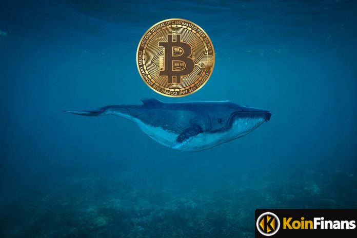 glassnode-bitcoinin-buyuk-balina-birikimini-ortaya-cikardi