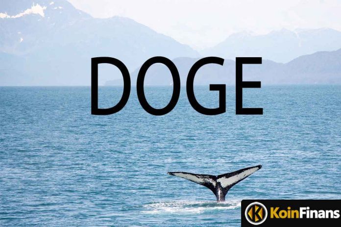 analist-en-guclu-doge-balinasi-hakkindaki-sansasyonel-teoriyi-acikladi