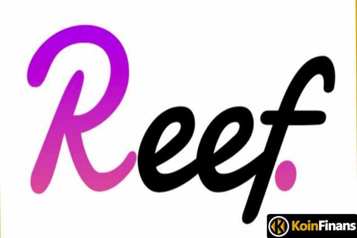 reef-finance-nedir-reef-coin-hakkinda-detayli-rehber
