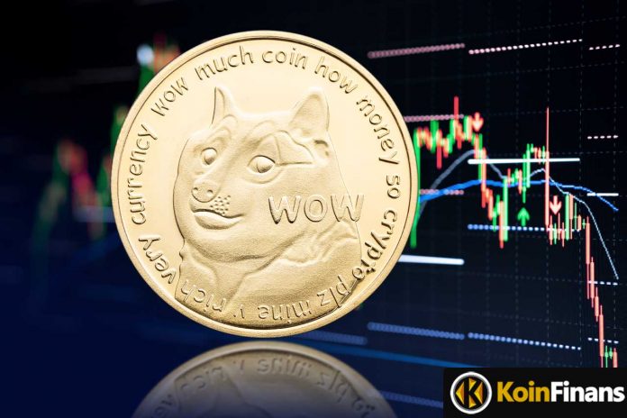 unlu-analist-dogecoin-elon-musk-gibi-yatirimcilarin-pump-and-dump-planinin-kurbani