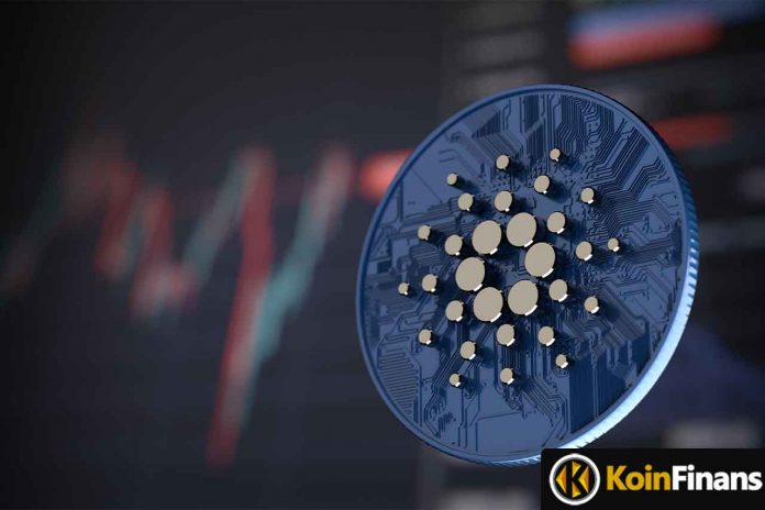 cardano-kurucusu-ada-yakma-fikrine-siddetle-karsi-cikiyor-iste-nedeni