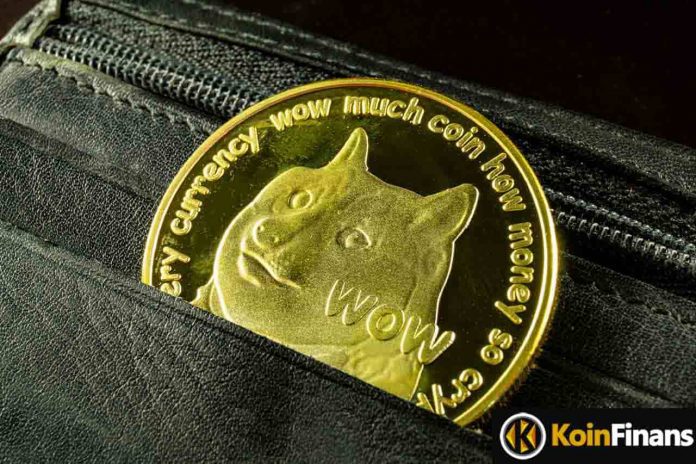 dogecoinin-fiyati-tehdit-altinda-mi-dogede-ayi-sezonu-korkusu