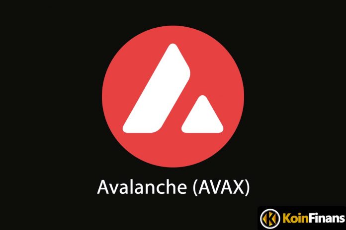 son-gunlerin-populer-kripto-parasi-avalanche-avax-nedir-avax-nasil-calisir