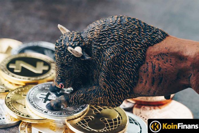 bu-altcoin-bogalari-fiyati-yeni-bir-ralliye-hazirliyor-iste-onemli-seviyeler