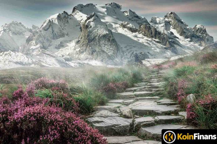 bu-altcoin-istikrarli-buyume-gosteriyor-satin-alma-firsati-ne-zaman-ortaya-cikacak