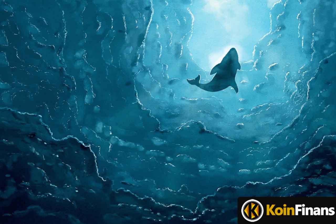 dogecoin-balinalari-elon-musk-haberi-sonrasi-harekete-gecti-intotheblock Dogecoin (DOGE) Balinaları Elon Musk Haberi Sonrası Harekete Geçti: IntoTheBlock