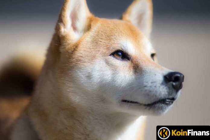 This Meme Coin Beats Shiba Inu: The Community's New Favorite!