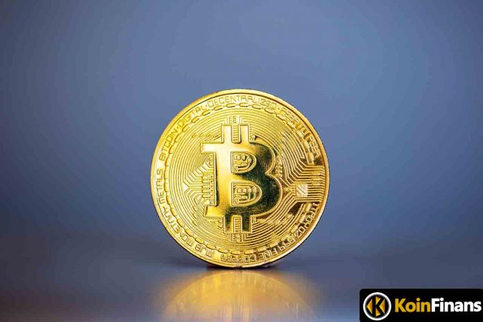 Could the Digital Dollar Have Helped the Bitcoin (BTC) Price Rise?