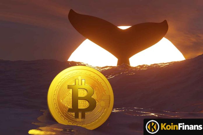 Santiment Announces: Mega Bitcoin (BTC) Whales Have Been Aggressively Accumulating BTC Over The Last Seven Weeks!