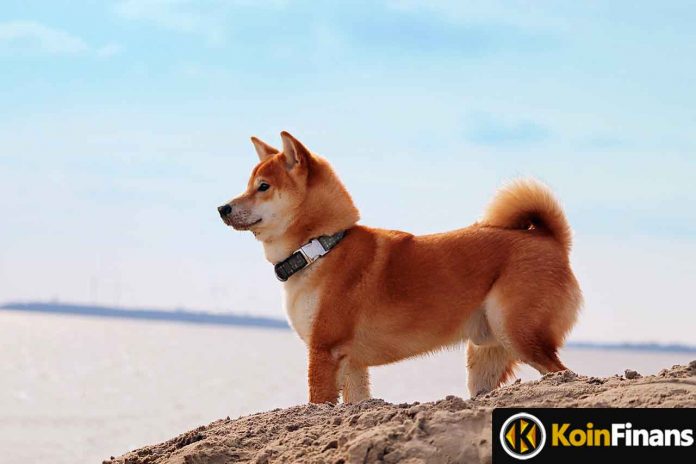 As Shiba Inu Continues to Consolidate, Price Sets to Rise 28%!