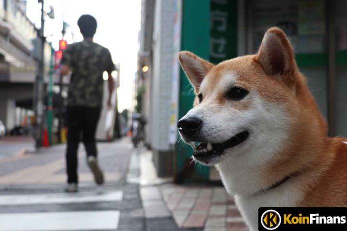 Big Development from Shiba Inu: Developers Announce the Launch of DoggyDAO!