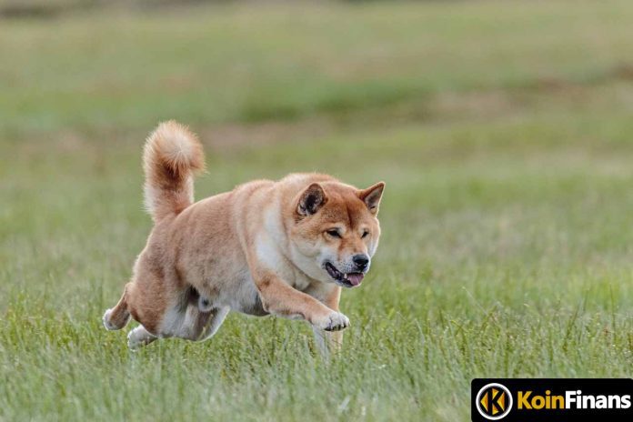 Shiba Inu's Layer-2 Solution Will Be Publicly Tested Soon!