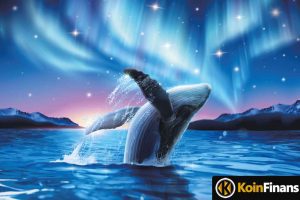 This Altcoin's Whales Are Accumulating Despite Falling!
