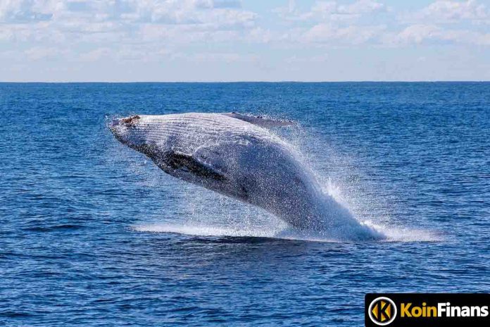 This Metaverse Coin Is On The Radar Of The Whales: Big Improvements Await!