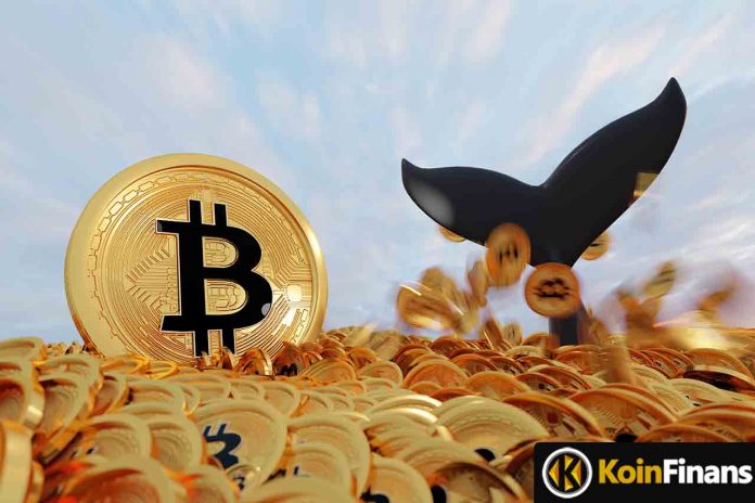 Mysterious Bitcoin Whale Bought $71M BTC