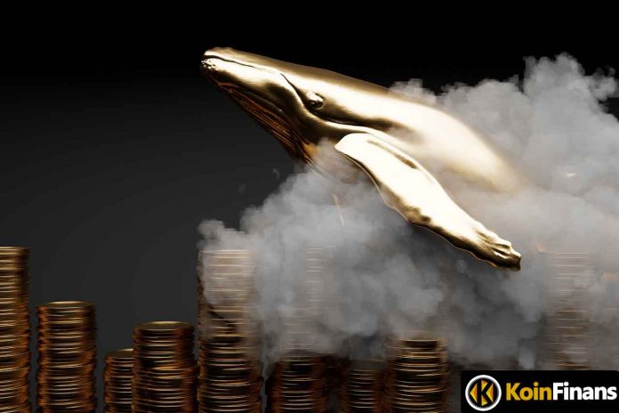 Giant Whales Collect These 6 Altcoins During Recovery!